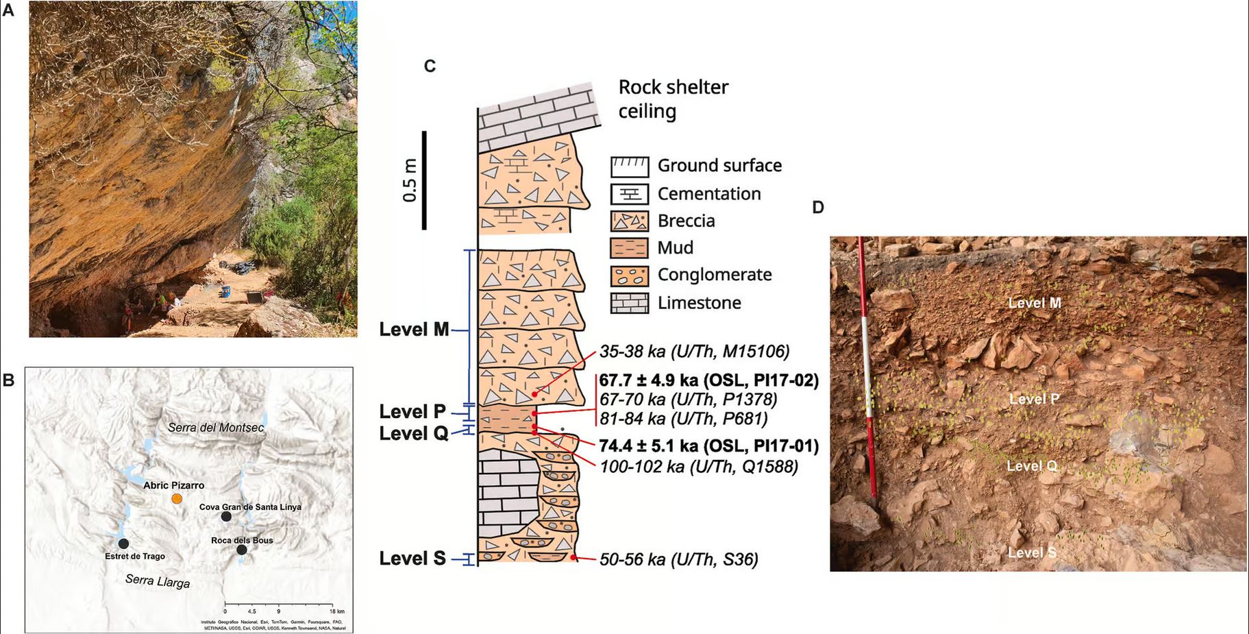 L'homo Néandertal il y a 65 000 à 100 000 ans.