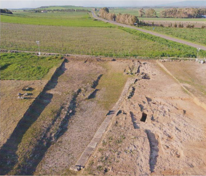 Site de Mont'e Prama.