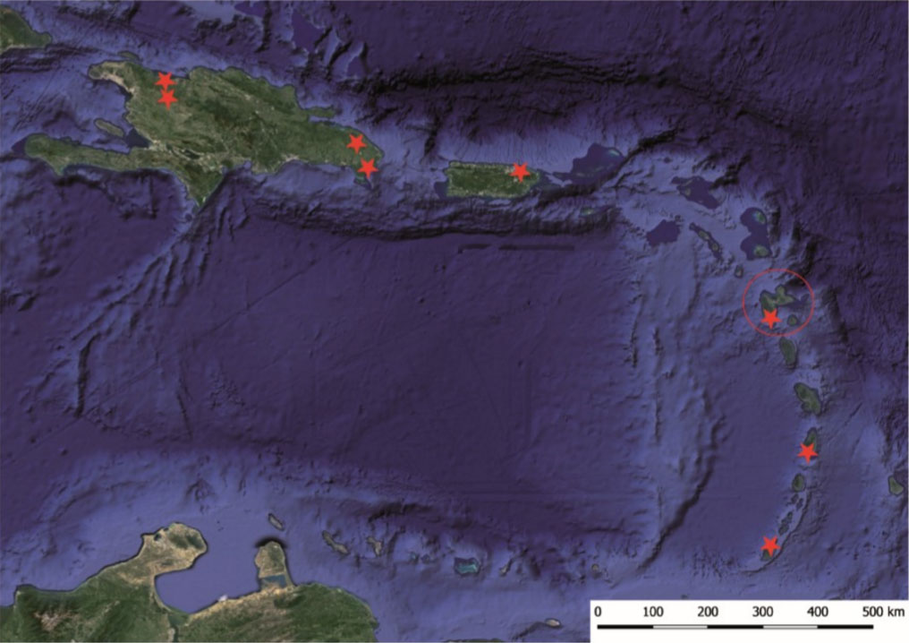Motif des spirales dans les Petites Antilles.