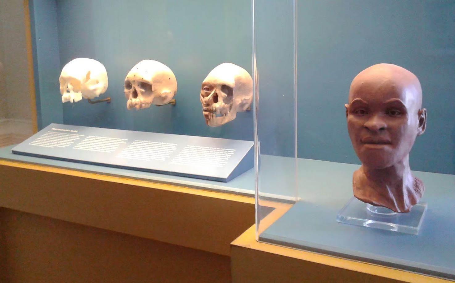 Reconstitution du visage de Luzio, d'après le squelette mis au jour à São Paulo au Brésil.