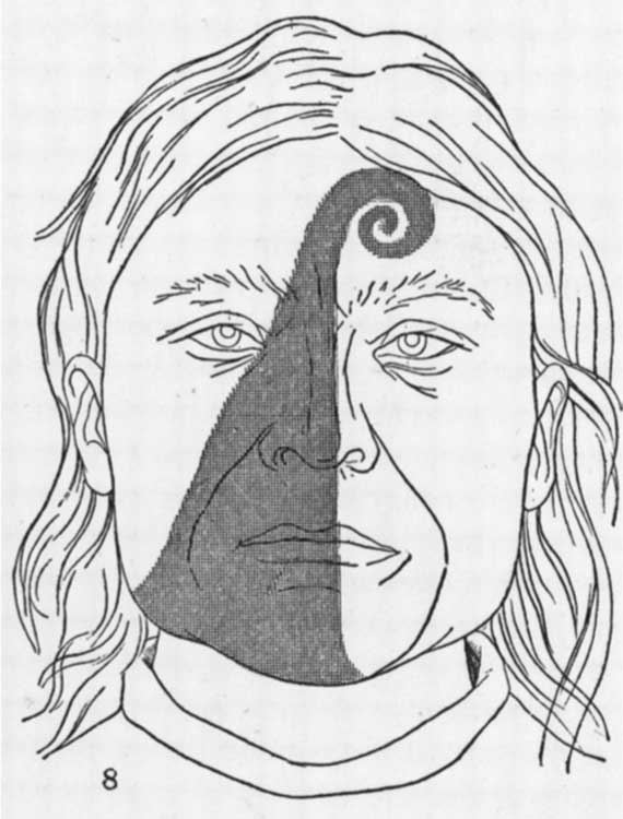 Tatouage facial tsimshian de la trompe d'un moustique