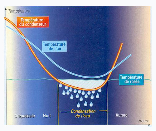 Température de rosée