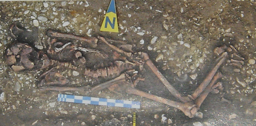 Tombe 3 du tumulus Strejnicu en Roumanie.