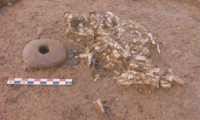 Tombe à crémation (5300 BC).