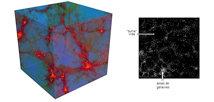 Univers en filaments galactiques et en alvéoles de grands vides