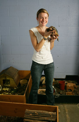 L'éthologue Anna Wilkinson et ses tortues Esme & Quinn.