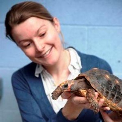 L'éthologue Anna Wilkinson et ses tortues Esme & Quinn.