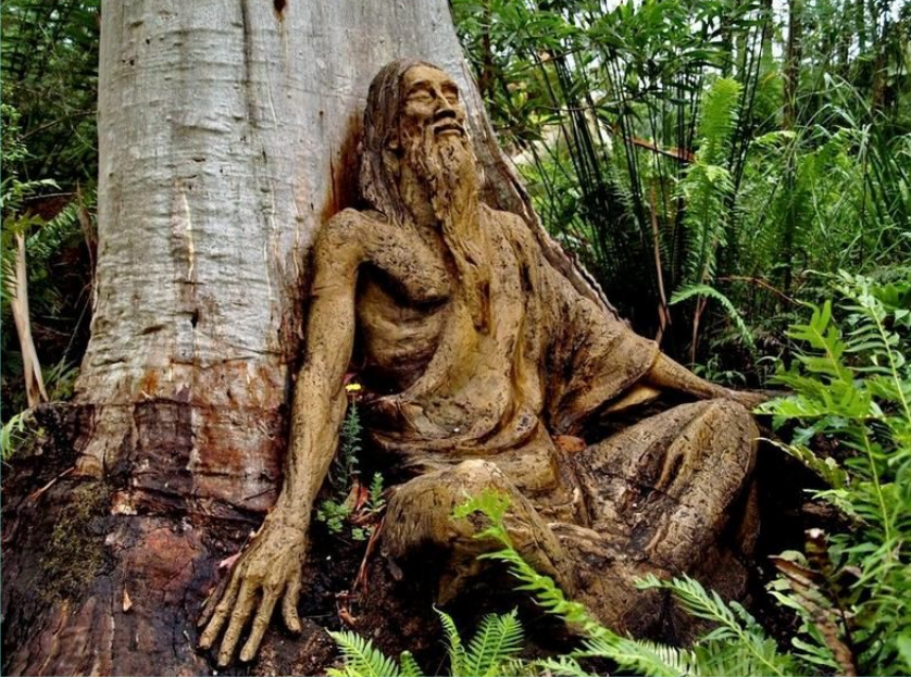 Le magicien de la forêt